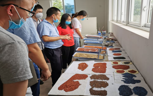 Latest company news about پایگاه صنعت-دانشگاه-تحقیقی گروه مواد دانشگاه فناوری چنگدو، همکاری جامع با مواد ساختمانی چین گوانگدونگ